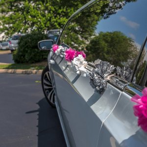 car rentals